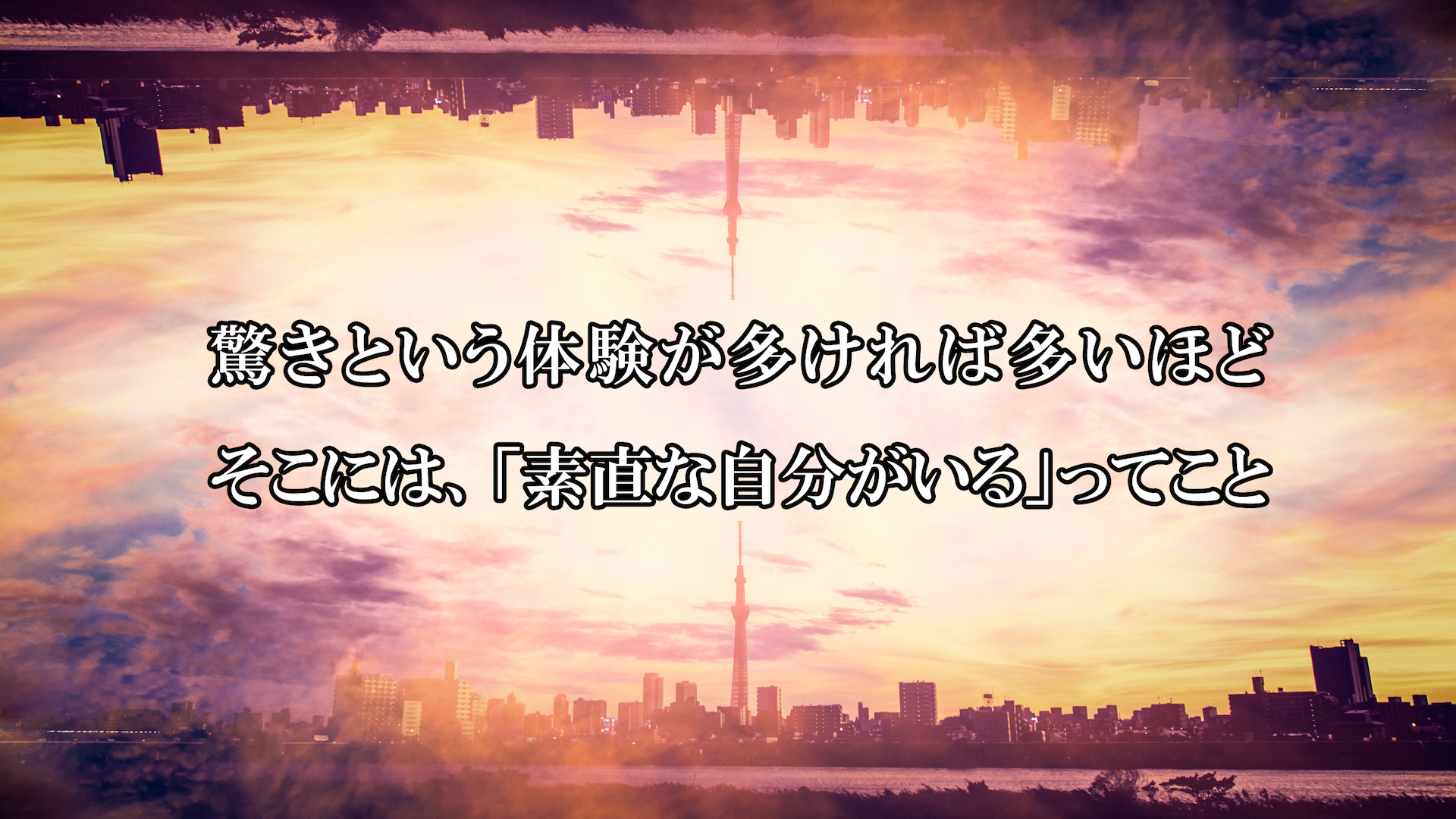 kaz93_enkeiskytree