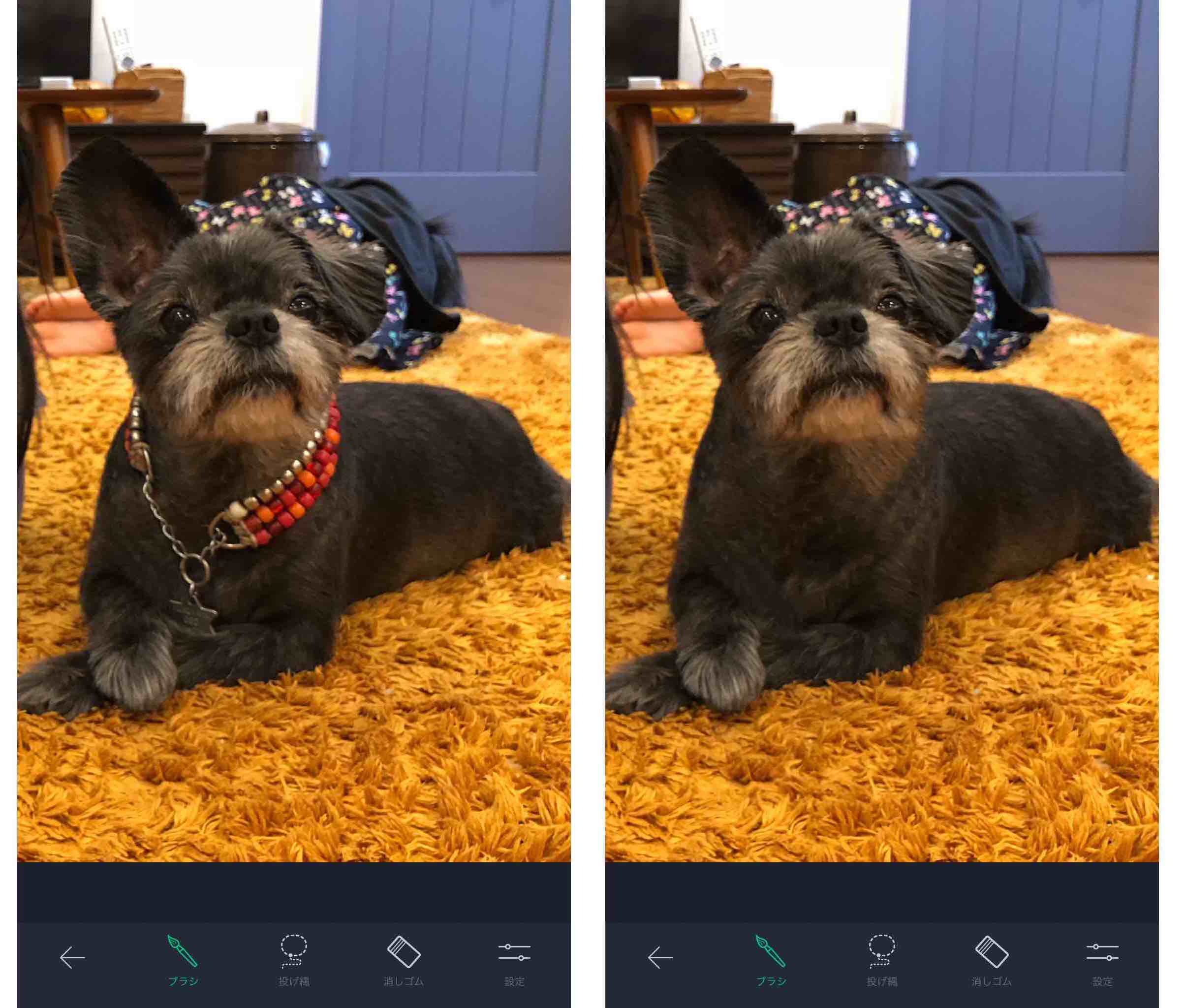 Iphoneで写真の一部を消す無料アプリの Touchretouch の使い方