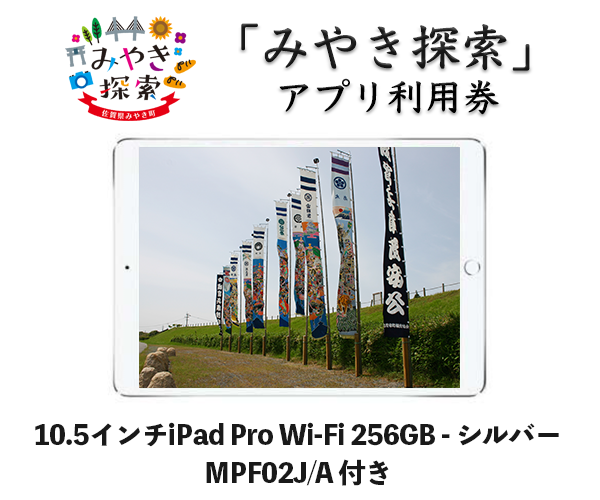 iPad Pro 10.5インチ Wi-Fi 256GB シルバー/ゴールド MPF02J:A