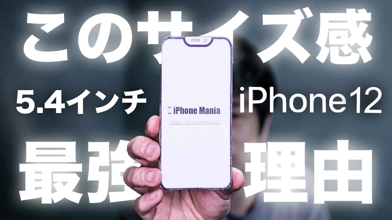 iphone12-mini-size